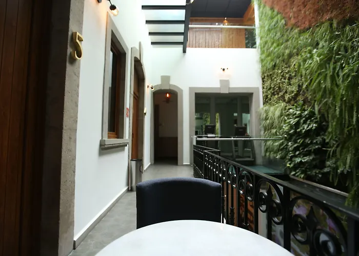 Hotel Casa Prim Boutique (adults Only) Mexico City